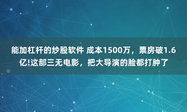 能加杠杆的炒股软件 成本1500万，票房破1.6亿!这部三无电影，把大导演的脸都打肿了