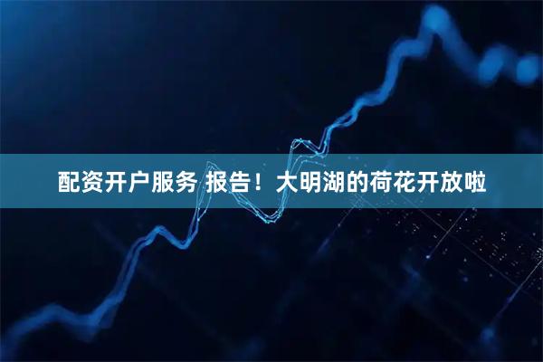 配资开户服务 报告！大明湖的荷花开放啦